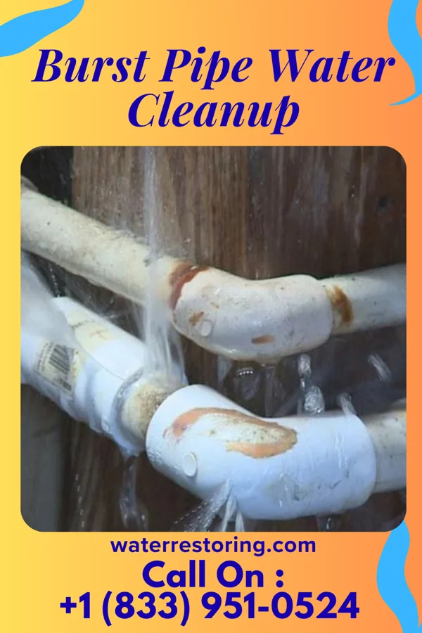 Burst Pipe Water Cleanup in Lakeview Heights, KY