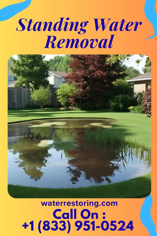 Standing Water Removal in Lakeview Heights, KY